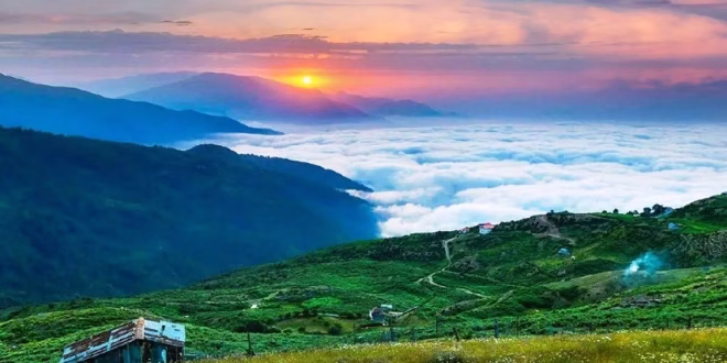 فیلبند